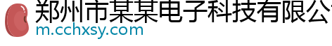 郑州市某某电子科技有限公司